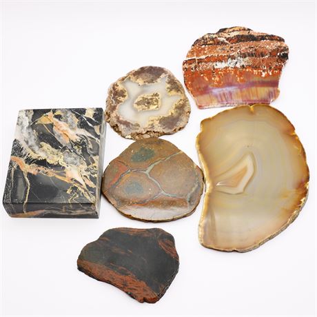 Assortment of Rock and Mineral Slabs (Total of 6)