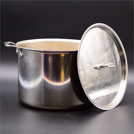 All-Clad Stainless Steel 11" Pot with Lid