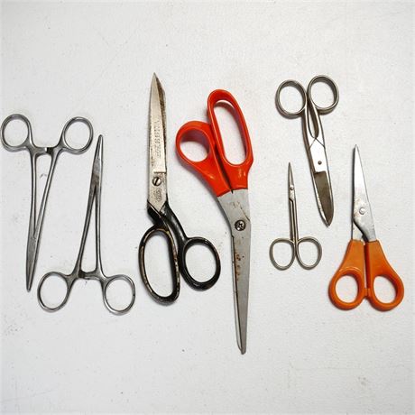 Assorted Scissors & Forceps (Total of 7)