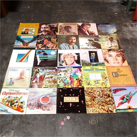 Lot of 25 Vintage Vinyl Records