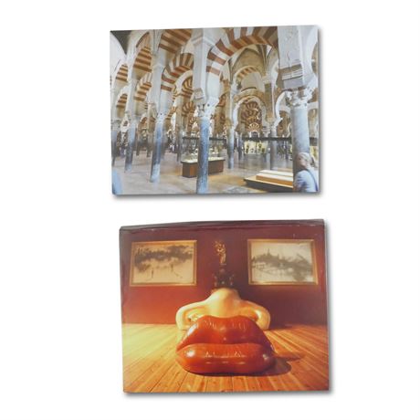 Floating Canvas Photography Wall Art (Lot of 2)